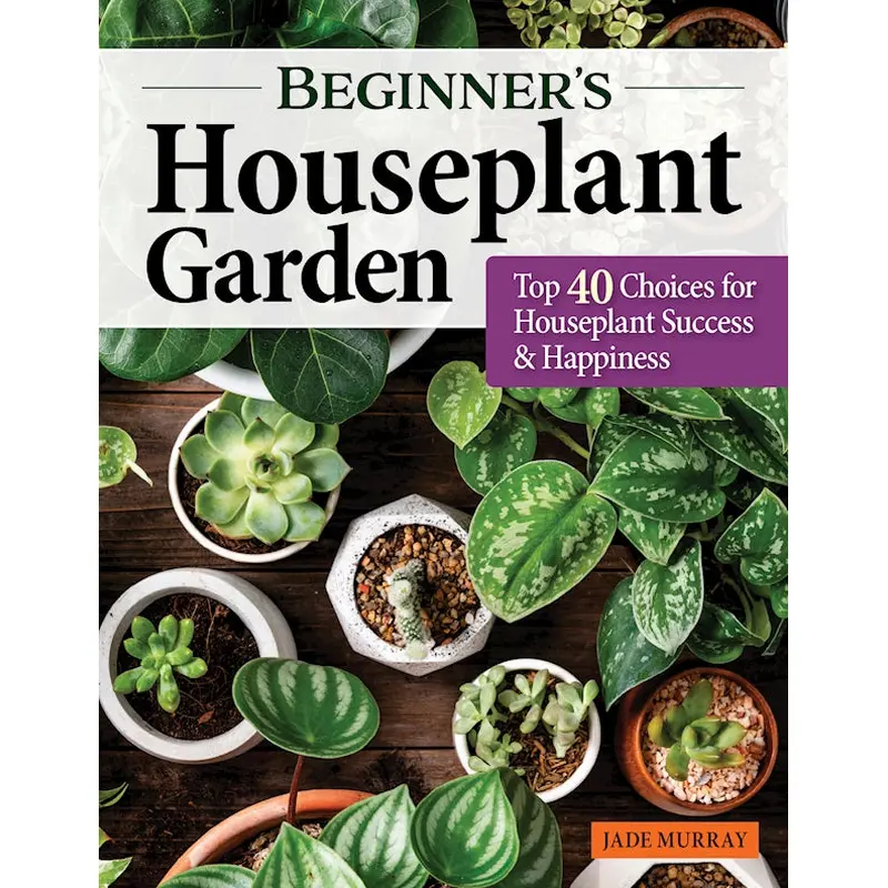 Beginner's Houseplant Garden