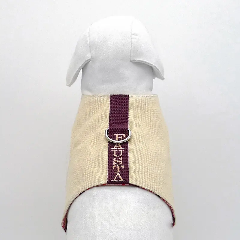 Canvas-Harness