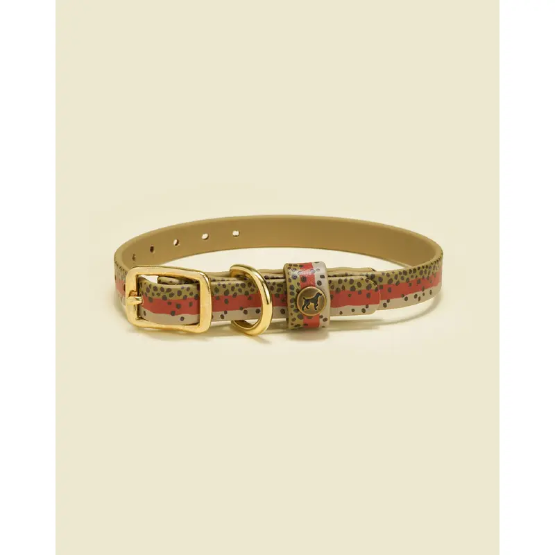 Sporting Puppy Collar - Rainbow Trout