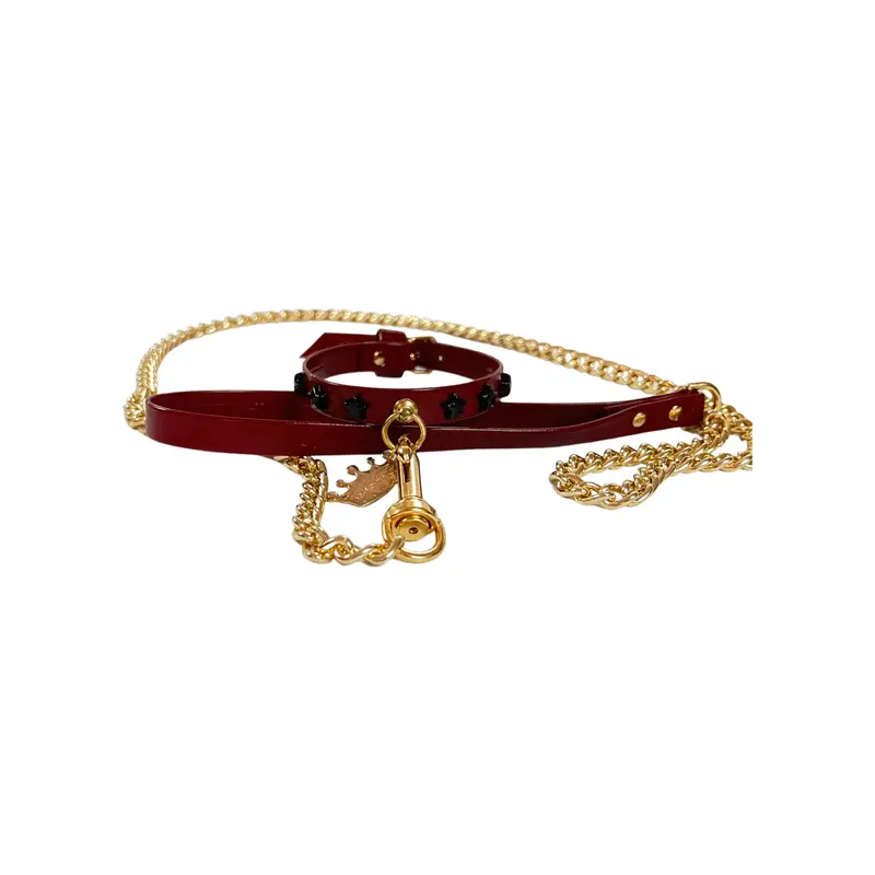 Fashion Collar and Chain Leash Set - Burgundy with Star Studs