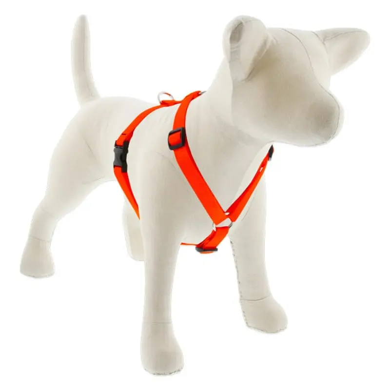 Lupine Pet Dog 3/4 In In Wide 14-24 In Roman Harness Basics Blaze Orange
