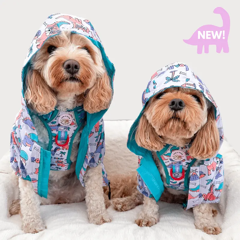 Doggosaurus Rex Reversible Dog Raincoat