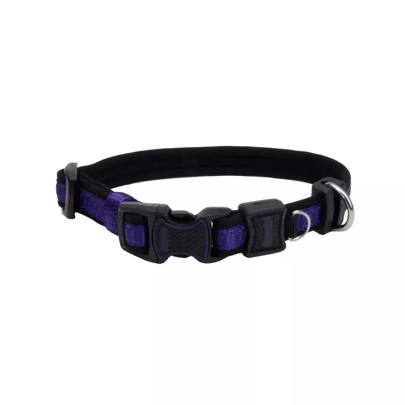 Coastal Inspire 5/8in Wide 10-14in Dog Collar Purple