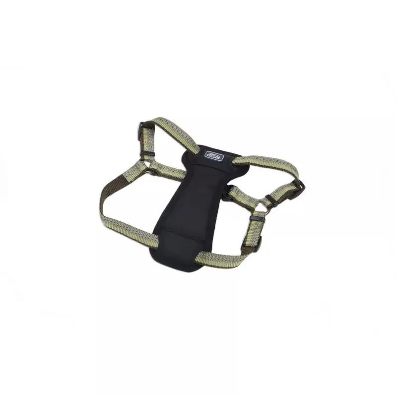 Coastal K9 Explorer Reflective Adjustable 1in Wide 26-38in Padded Dog Harness Fern