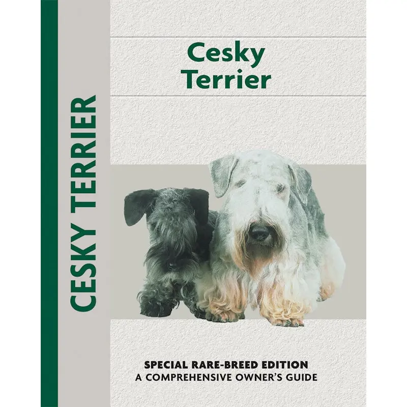 Cesky Terrier
