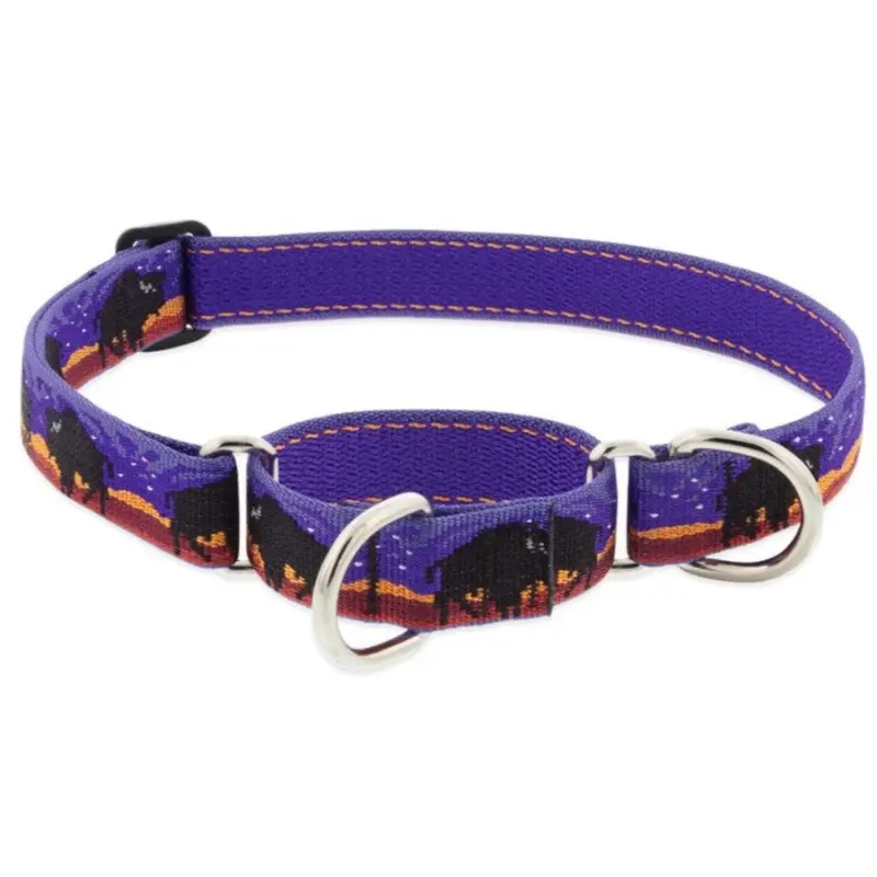 LUPINELUPINE Big Sky Collar for Dogs, 1'x16-28"