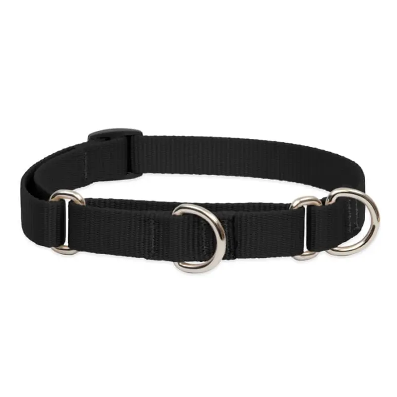 Lupine Pet Dog 3/4 In Wide 14-20 In Martingale Collar Basic Black