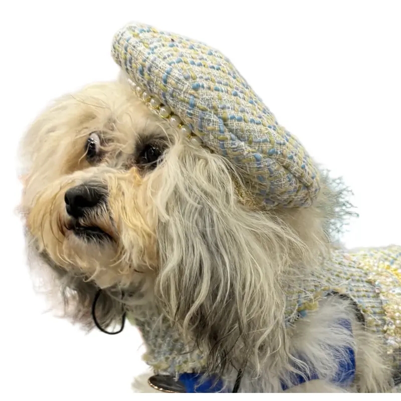 Blue Tweed Hat