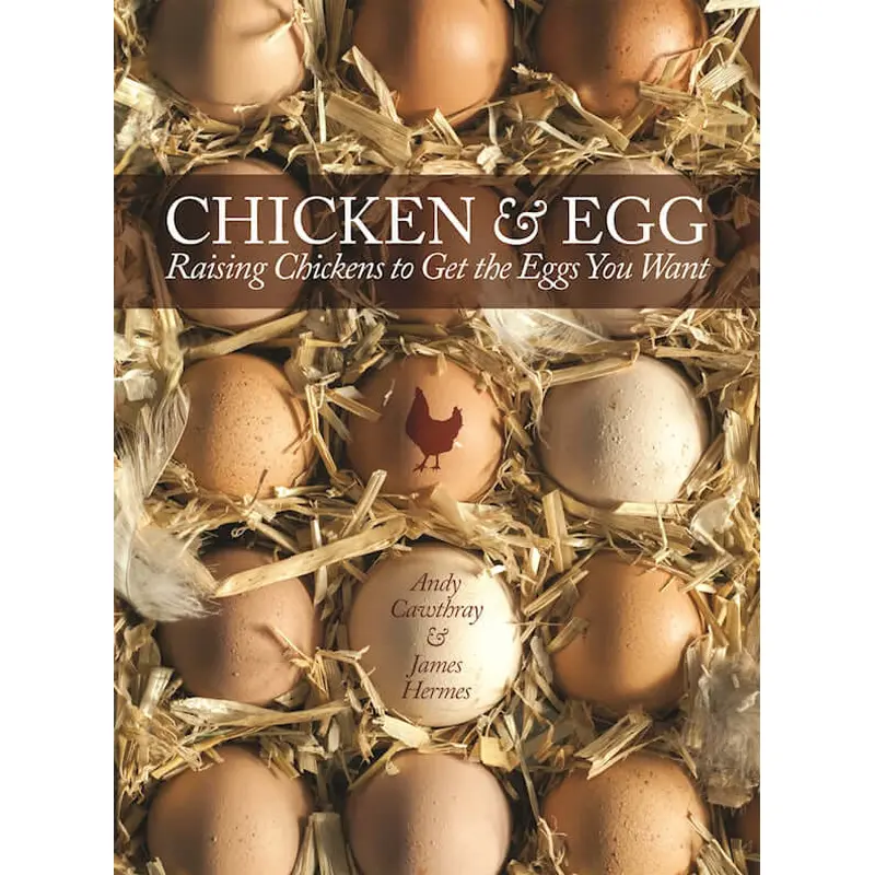 Chicken and Egg