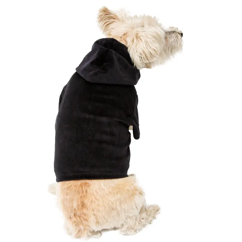 Velour Zip Front Hoodie, Black
