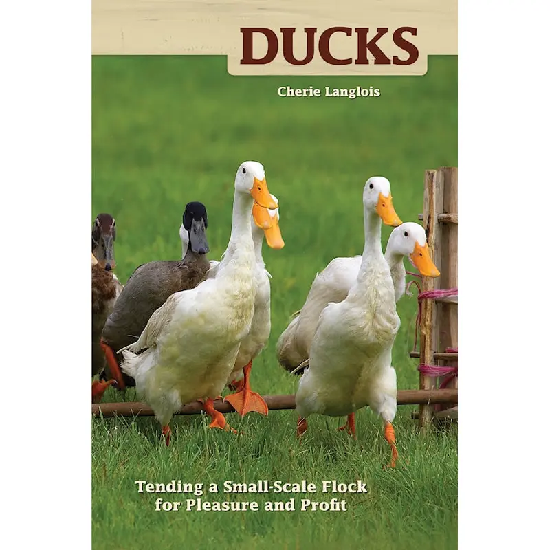 Ducks