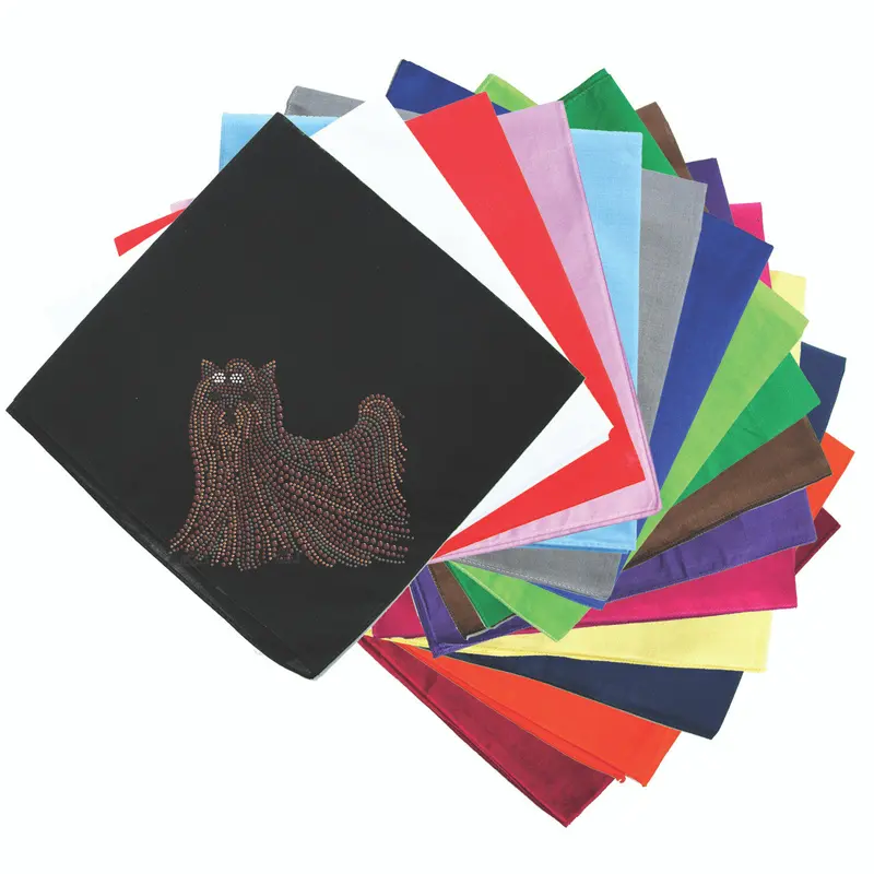 Yorkie - bandana
