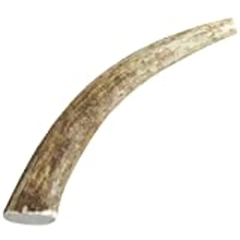 Happy Dog of Cape Cod Whole Elk Antler Dog Chew Medium