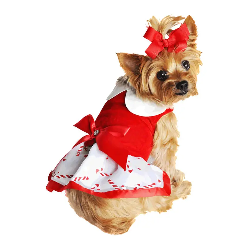 Christmas Candy Cane Rhinestone Dress with D-Ring and Leash