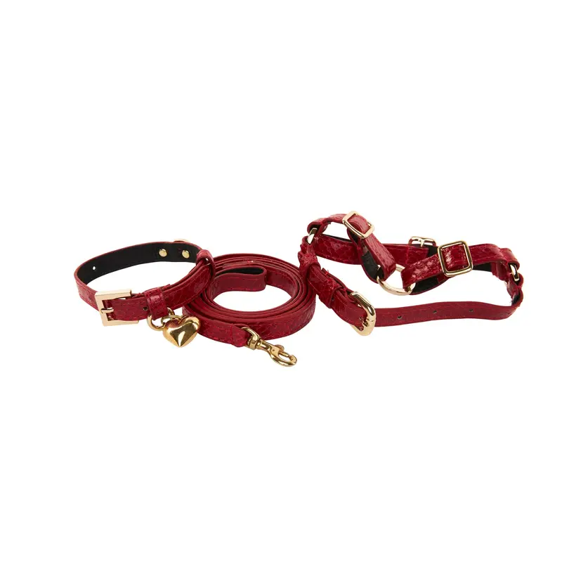 XS Red Viper Snake Collar, Leash, Harness Set