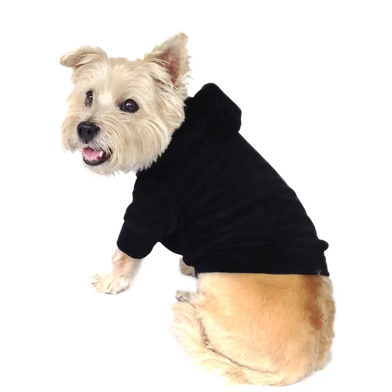 Velour Pullover Hoodie, Black