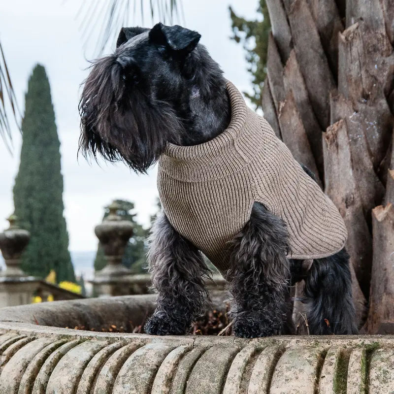 Natural Rib-Cashmere