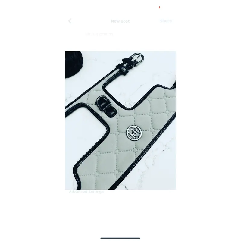 The Greyson Dog Harness