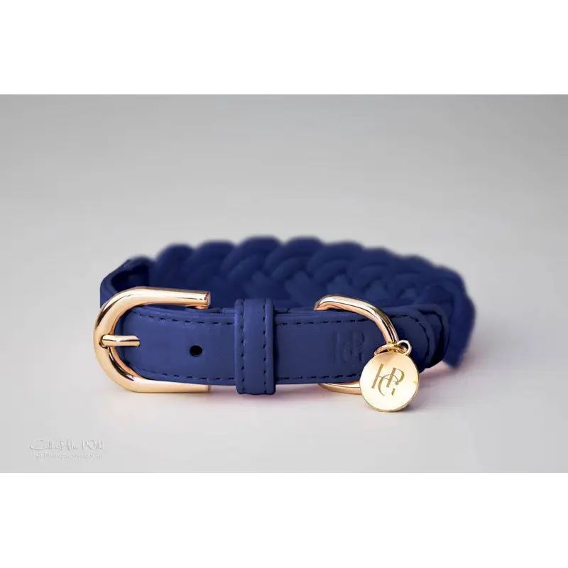 Dog Collar Indigo Blue