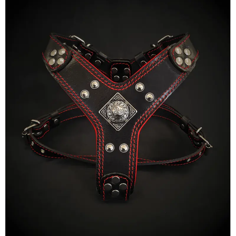 The ''Eros'' harness Black & Red Small to Medium Size