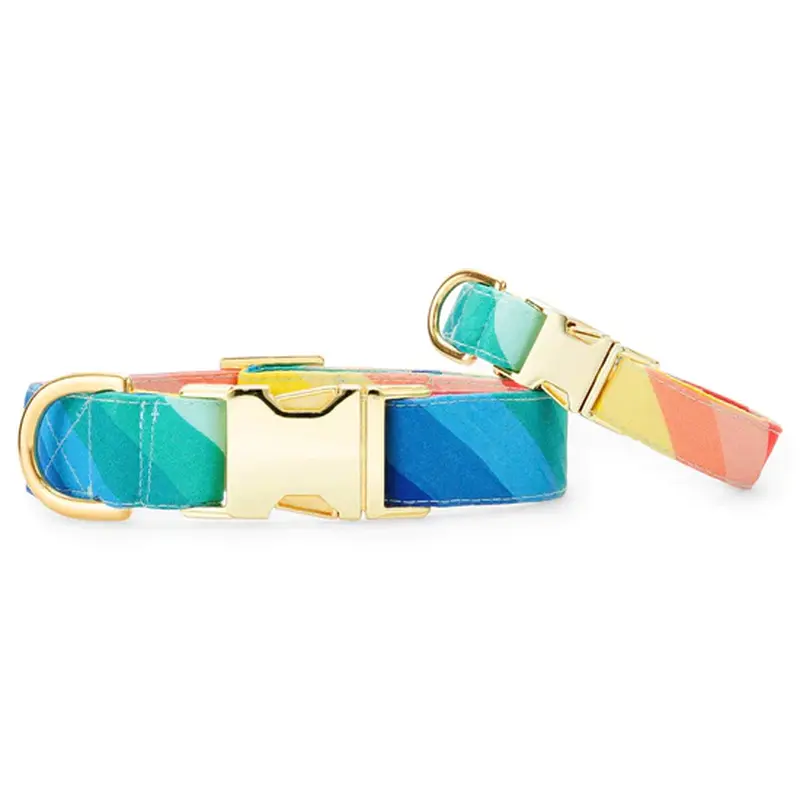 Foggy Dog Over the Rainbow Dog Collar