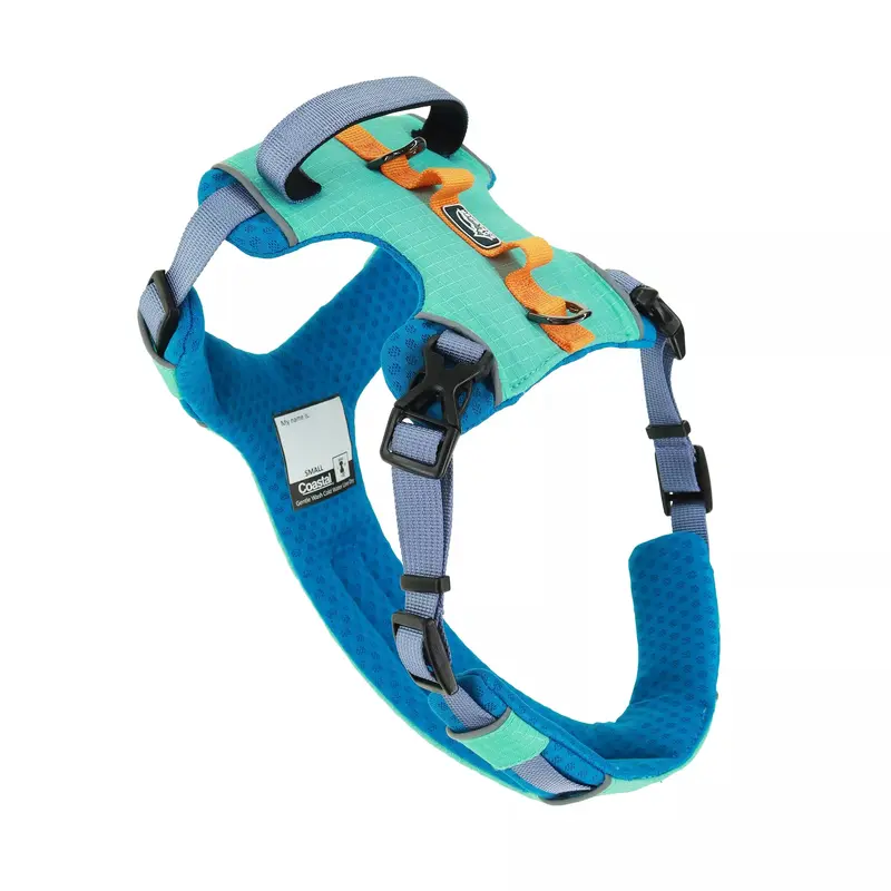 Costal K9 Explorer Dog Harness - Medium 20-30'' - Atlantic