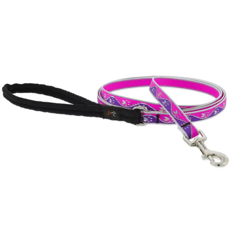 Lupine Pet Dog 6 Ft Long 3/4 In Leash Reflective Highlights Pink Paws