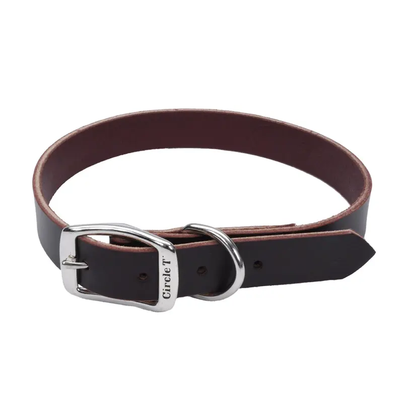 Coastal Circle T 3/4in Wide 18in Leather Town Dog Collar, Latigo