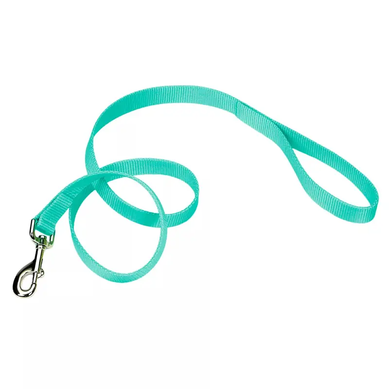 Coastal Single Ply 6ft Long 5/8in Dog Leash Teal