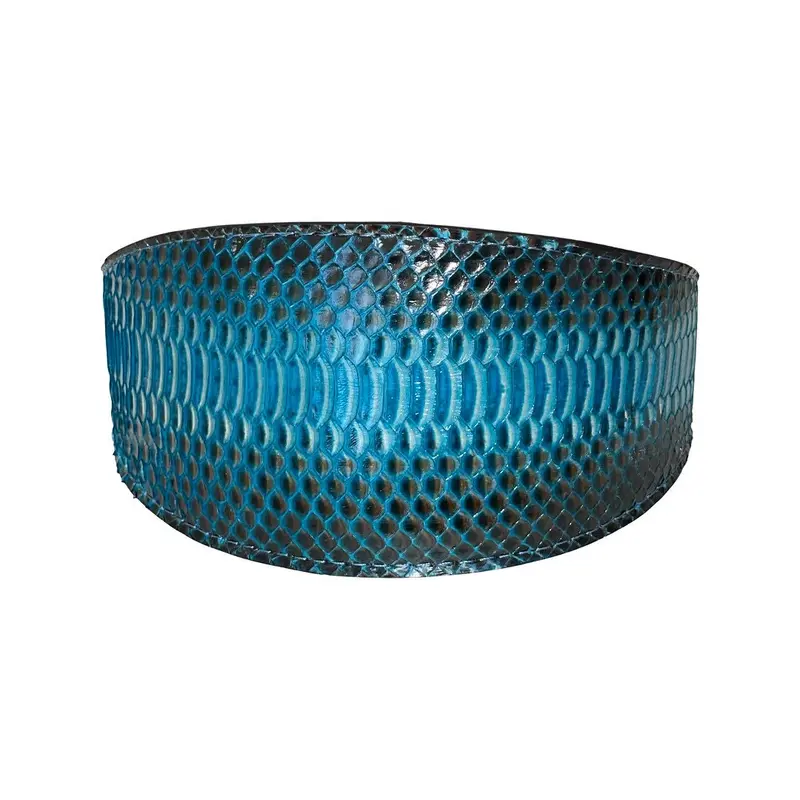 Turquoise/Black Snake