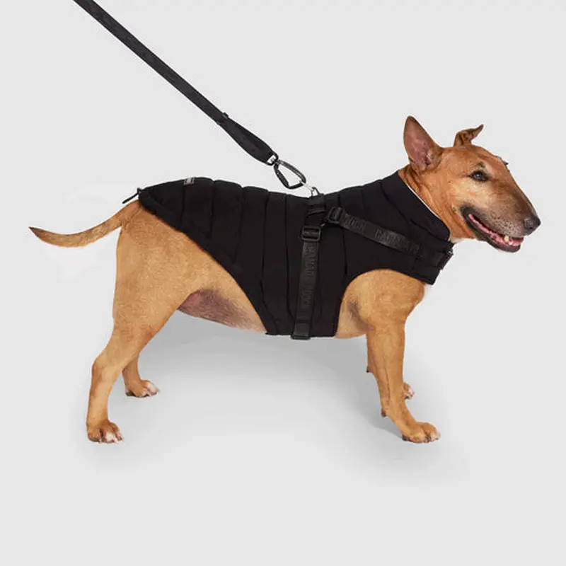 Canada Pooch Black Harness Puffer Coat Size 14