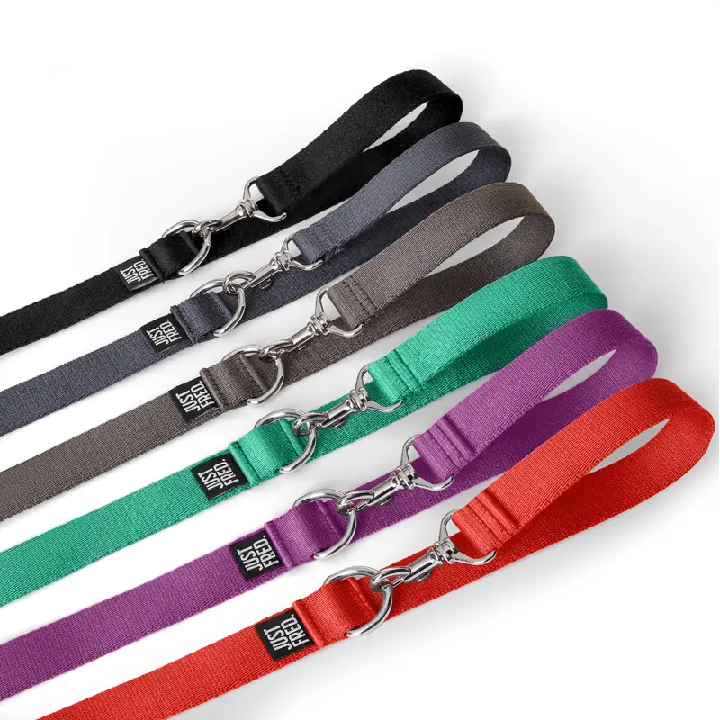 Dog Leash
