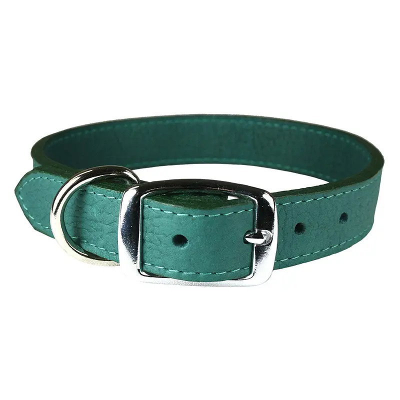 Jade Luxe Leather Dog Collar / Lead
