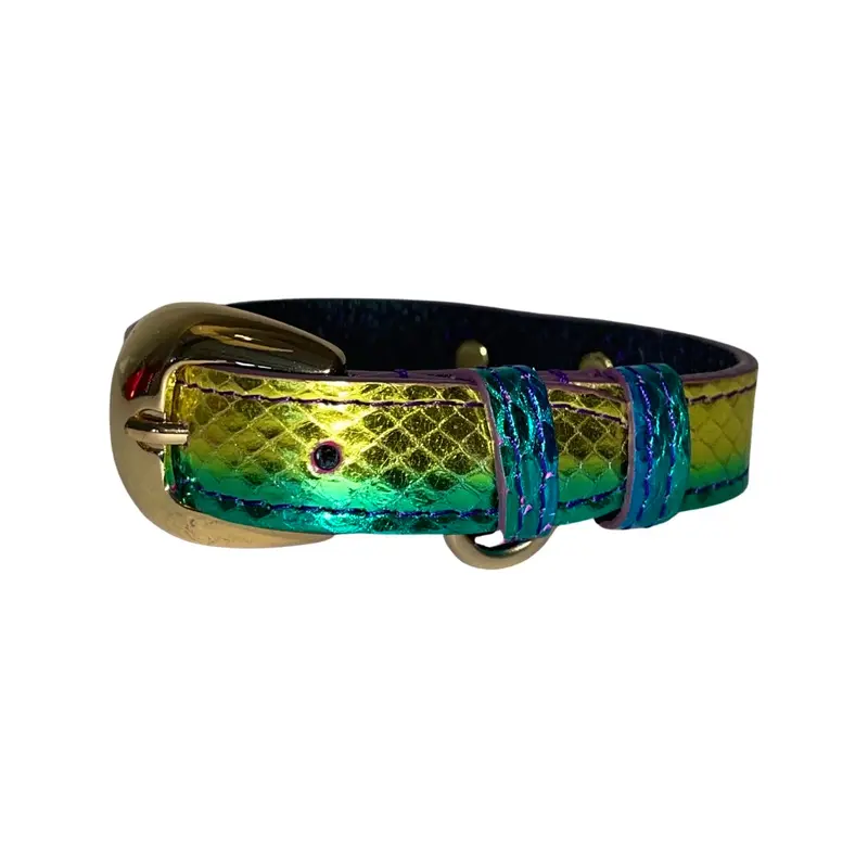 XS/S 7-14  Yellow/Green/Red Custom Snake Collar/Custom Gold Italian Hardware