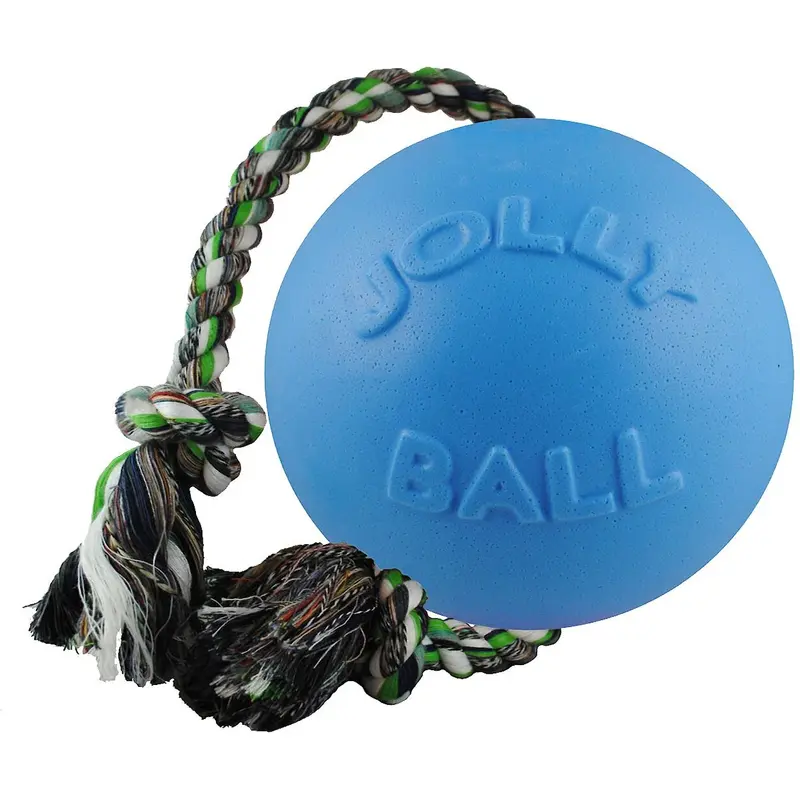 Jolly Pets Romp-n-Roll