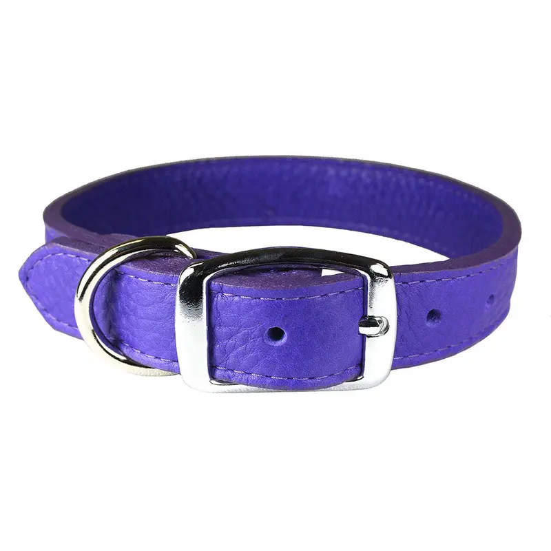 Violet Luxe Leather Dog Collar / Lead