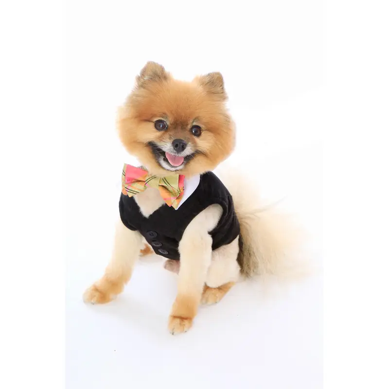 White Shirt Dog Collar with Coral & Lime Silk Plaid Bow Tie