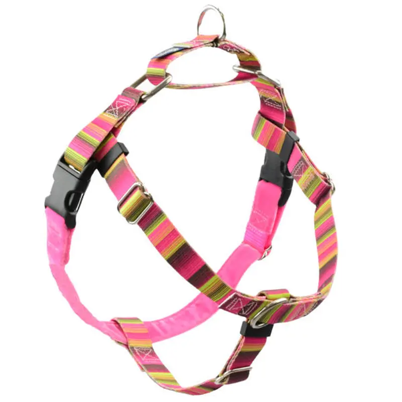 2 Hounds Design Freedom No-Pull Dog Harness - Large 1" x 28-32" - Bonnie