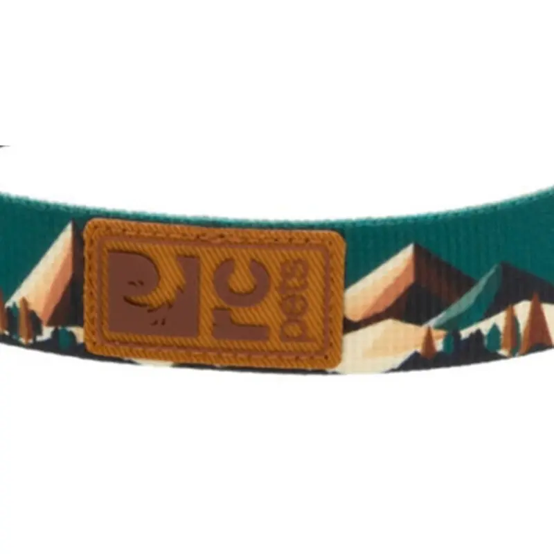 RC Pet Eco Dog Leash - 1" x 5' - Serene Slopes