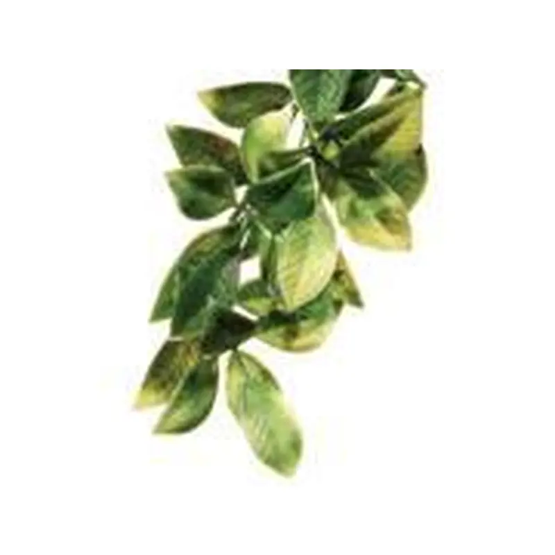 Exo Terra Plastic Terrarium Plant  Large  Mandarin