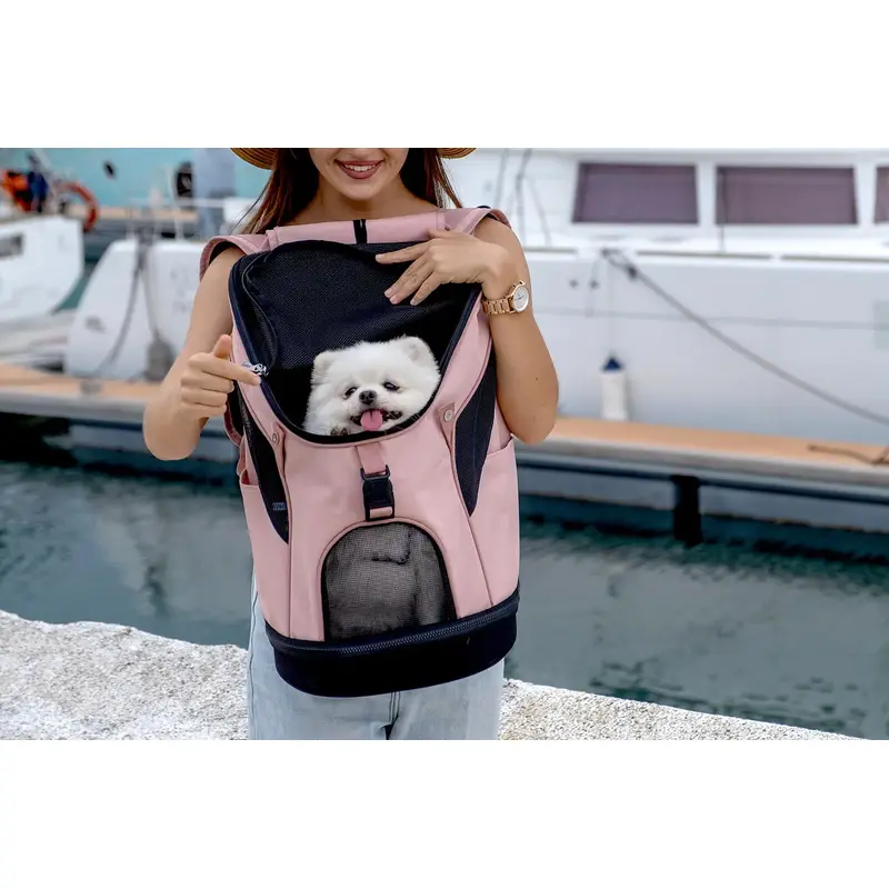 Ultralight Pro Pet Backpack Carrier Airline Approved