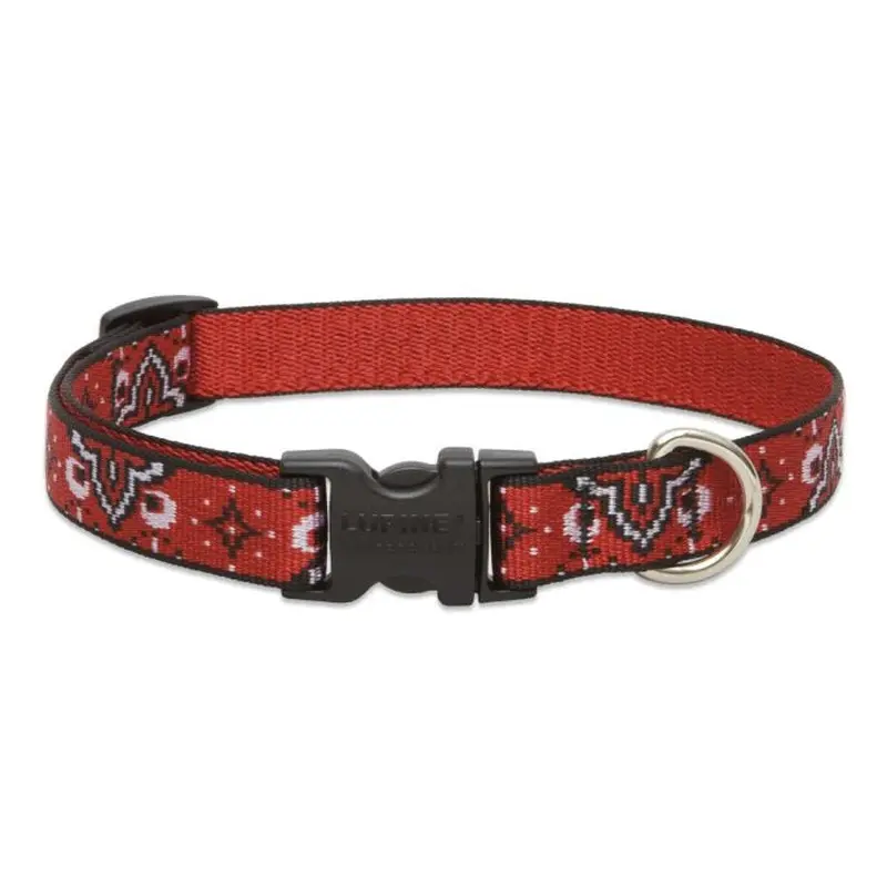 Lupine Pet Dog Collar 3/4" x 9"-14" Wild West