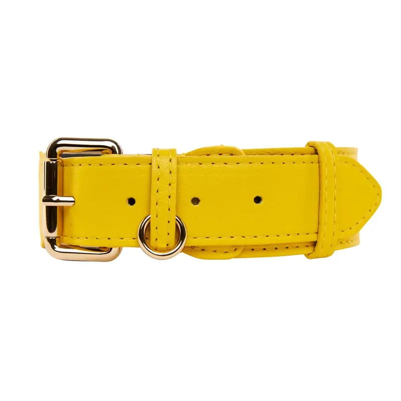 Yellow Italian Leather Classic Collar/Gold Classic Hardware