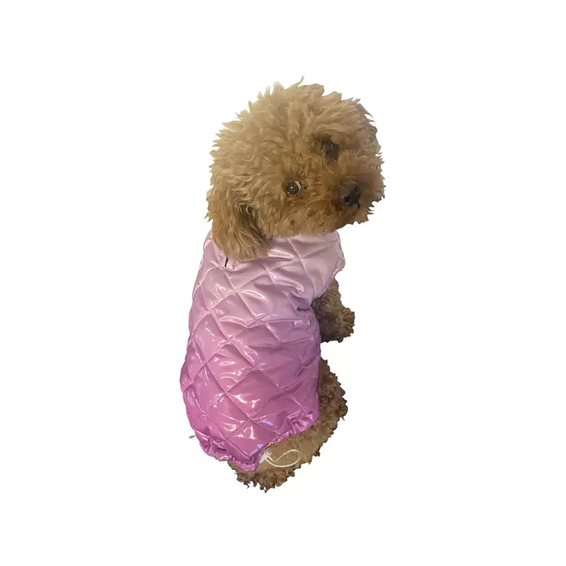 Coco Puffer, Ombred Orchid