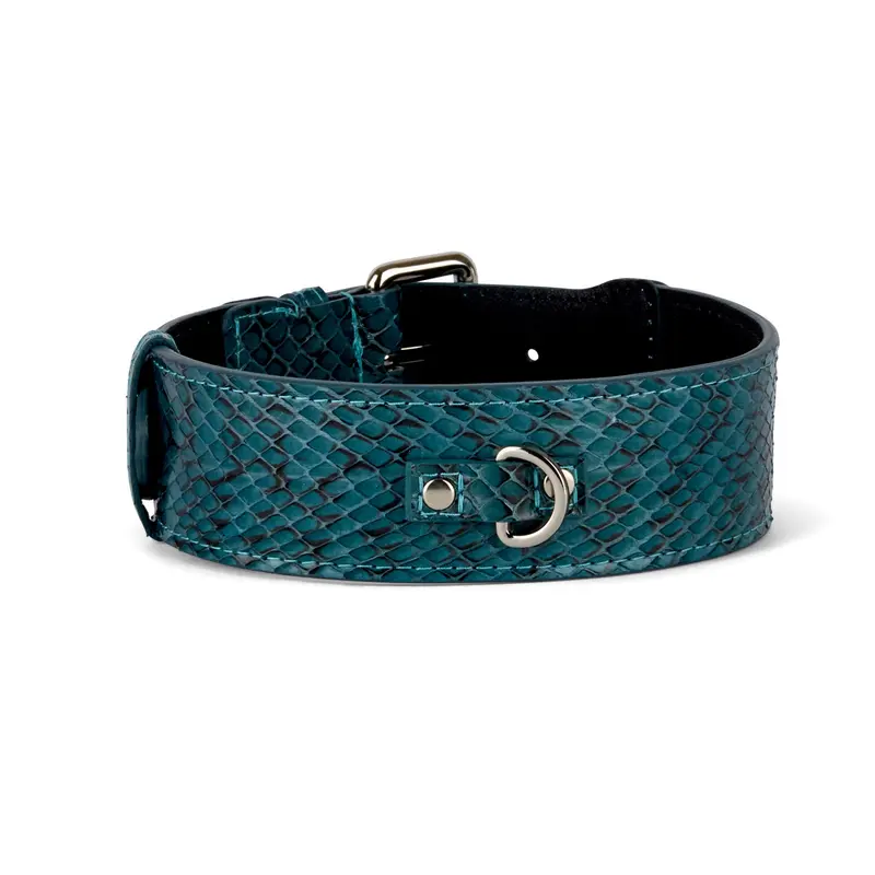 Teal and Black Snake Classic Collar