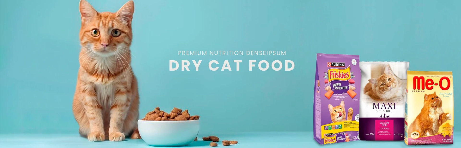 Dry Cat Food – Grain-Free, Chicken & Salmon Cheap